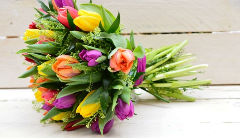 PENZION KAPR Český Krumlov